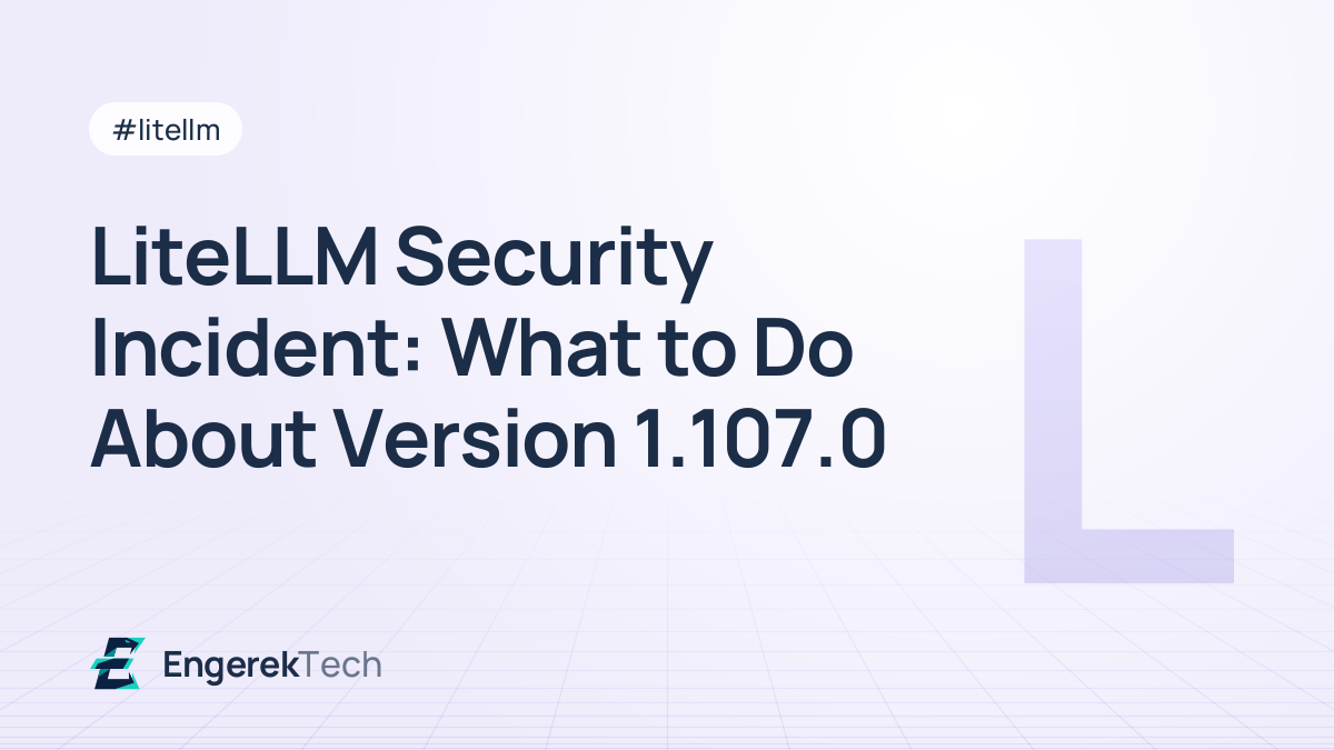 LiteLLM Security Incident: What to Do About Version 1.107.0